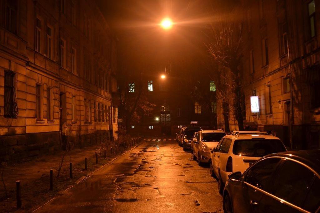 Cozy Apartment Lviv Bagian luar foto